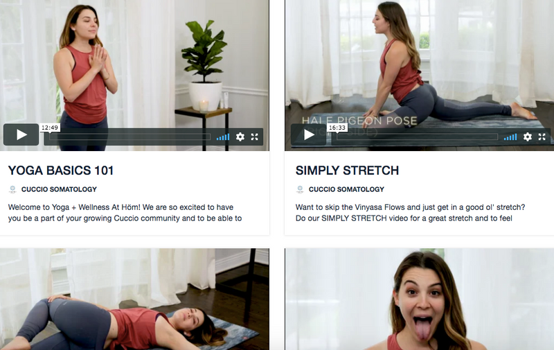 STREAMING SERIES: 10 YOGA + WELLNESS AT HÖME VIDEOS