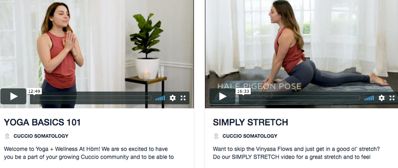 STREAMING SERIES: 10 YOGA + WELLNESS AT HÖME VIDEOS